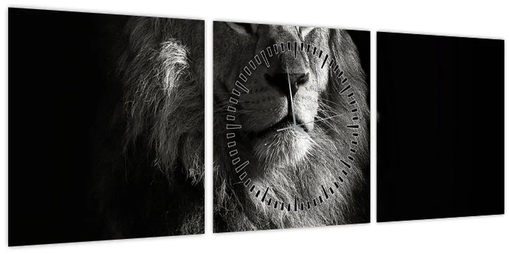 Tablou - Leu (cu ceas) (90x30 cm)