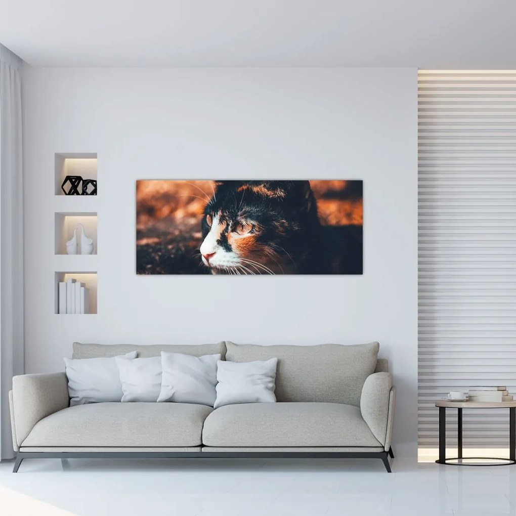 Tablou - Privirea pisicii (120x50 cm)