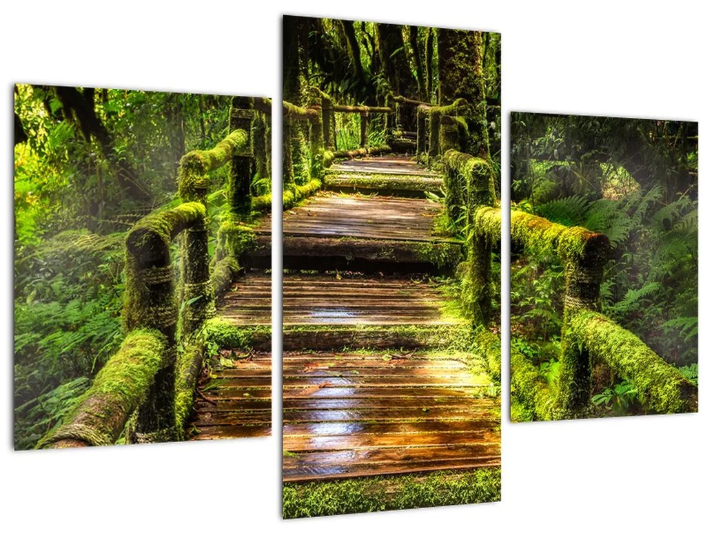 Tablou cu scări într-o pădure tropicală (90x60 cm)