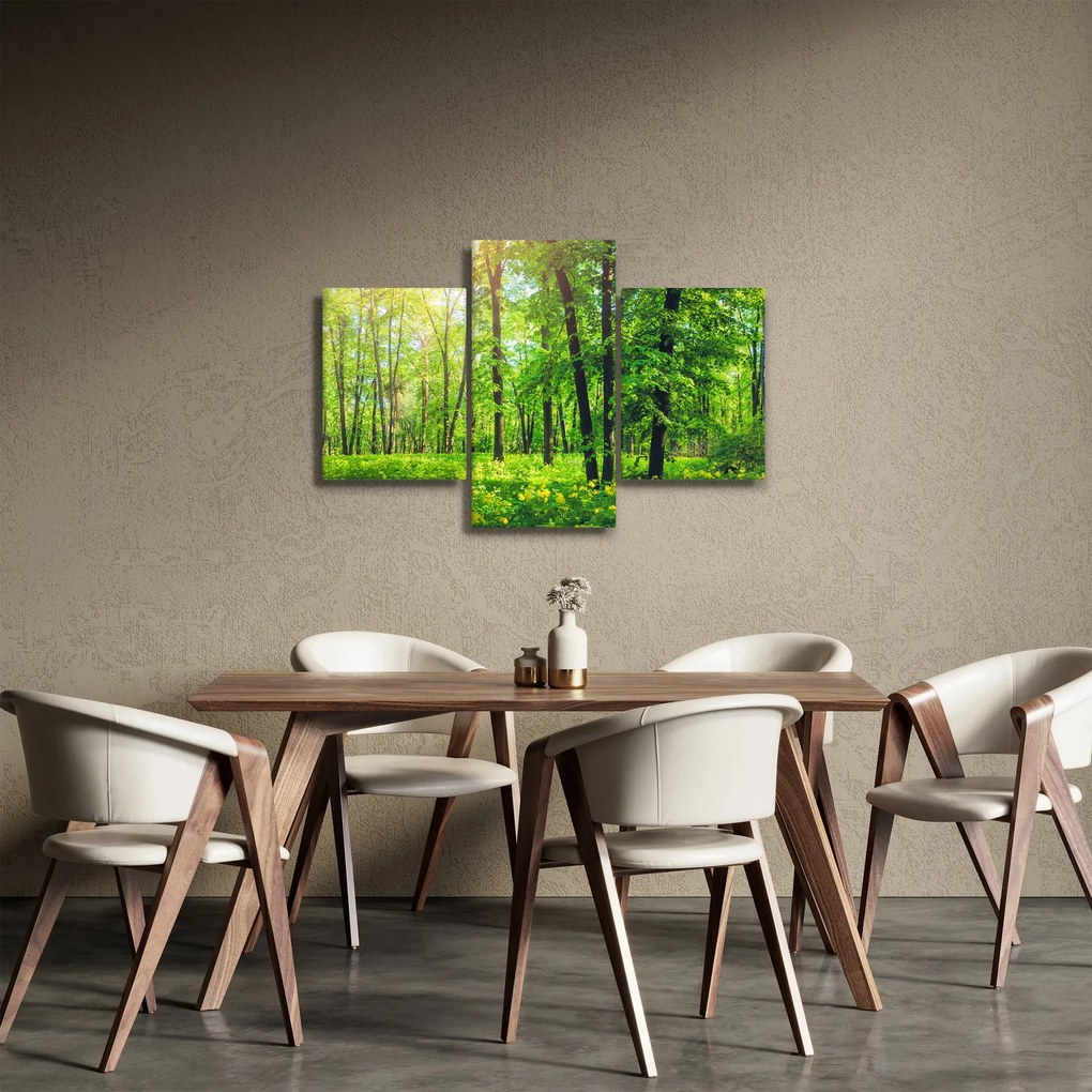 Tablou - Pădurea cu frunze de primăvară (90x60 cm)