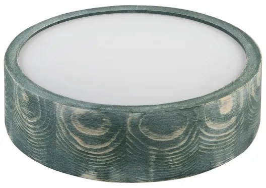 Brilagi - Plafonieră PINO 1xE27/15W/230V pin/verde Ø 27,5 cm