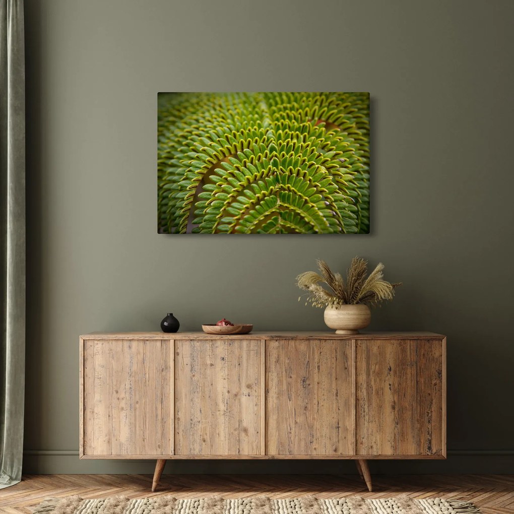 Tablou - Fern (90x60 cm)