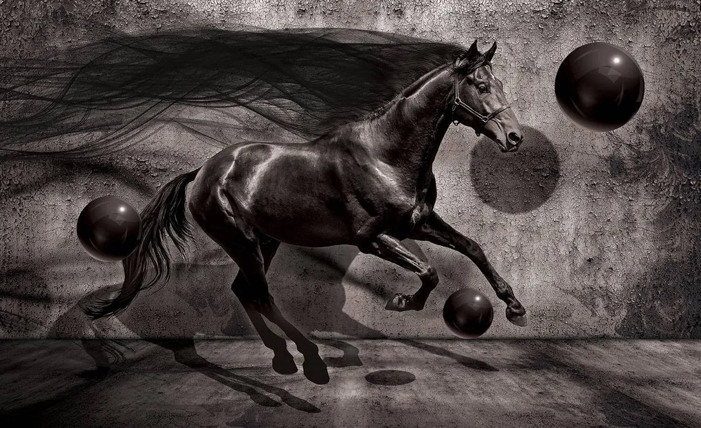 Fototapet - Calul negru (254x184 cm)
