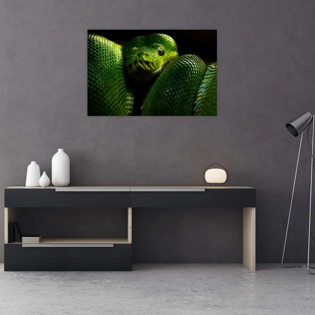 Tablou - Șarpele verde (90x60 cm)