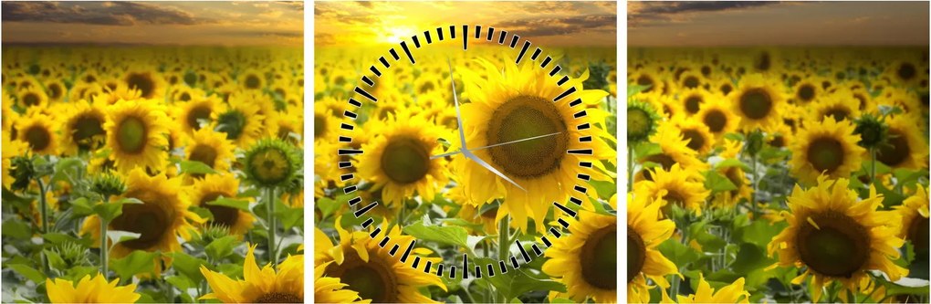 Tablou - Floarea-soarelui la apus de soare (cu ceas) (90x30 cm)