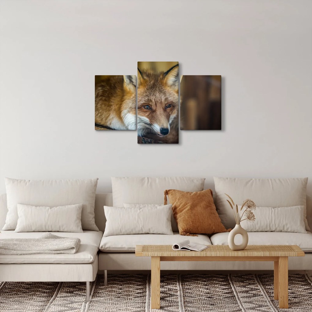 Tablou cu vulpe (90x60 cm)