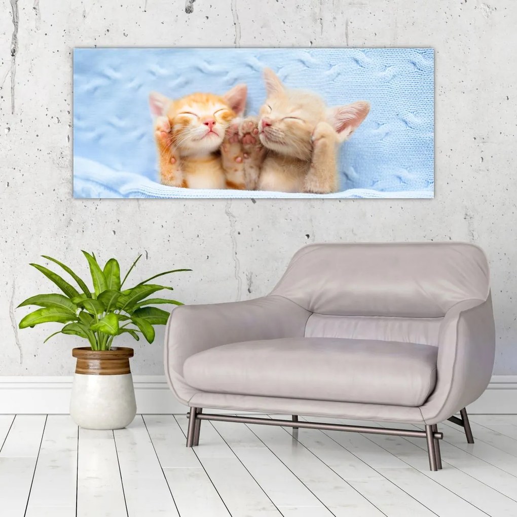 Tablou - Pisicuțe adormite (120x50 cm)