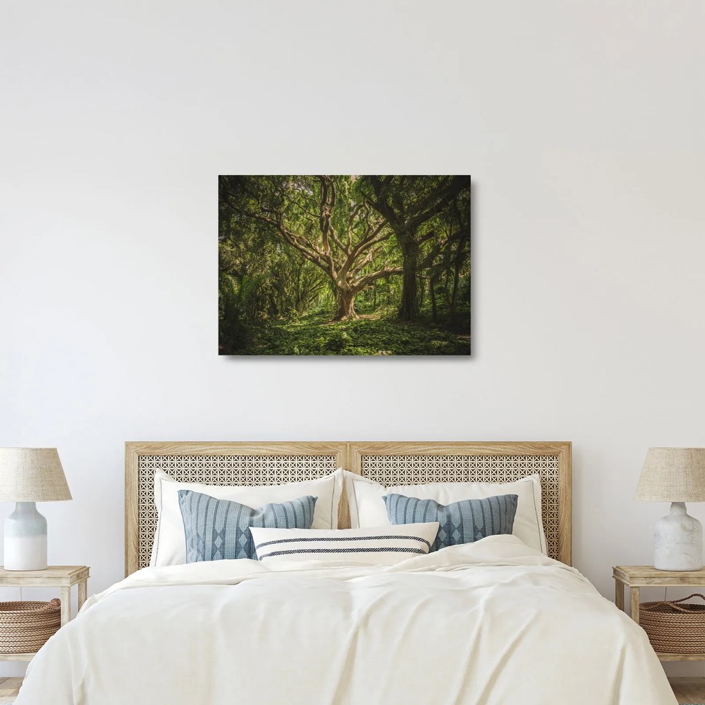 Tablou pe sticlă cu copaci (70x50 cm)