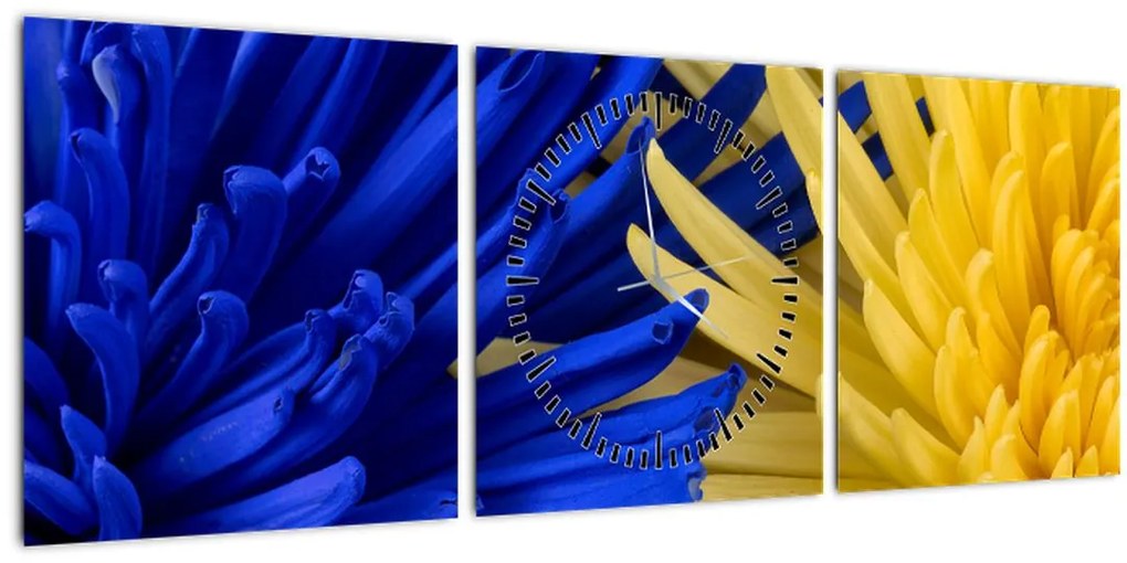 Tablou - detaliu florilor (cu ceas) (90x30 cm)