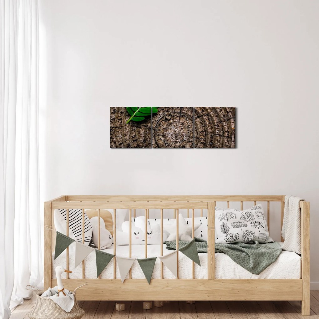 Tablou cu frunză pe trunchi de copac (cu ceas) (90x30 cm)