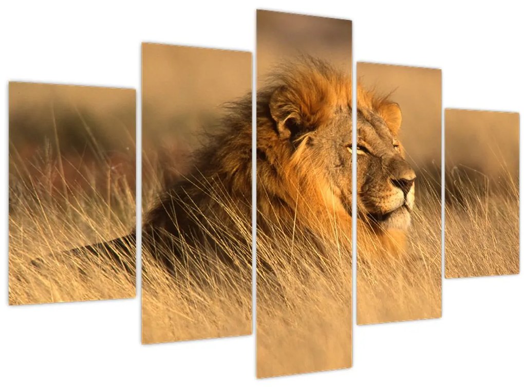 Tablou - Parcul Național Etosha (150x105 cm)