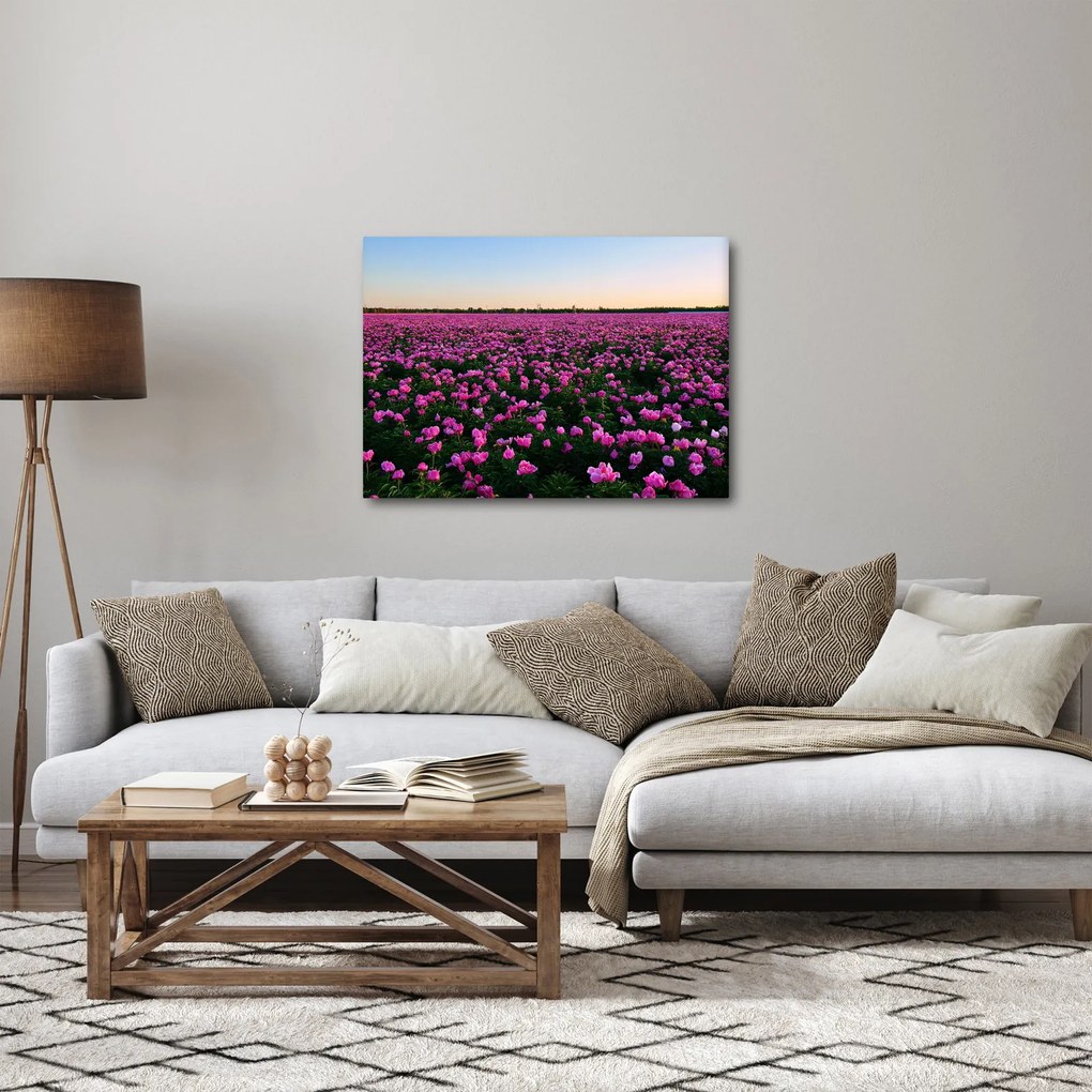 Tablou - Pajiștea cu lalele violet (70x50 cm)