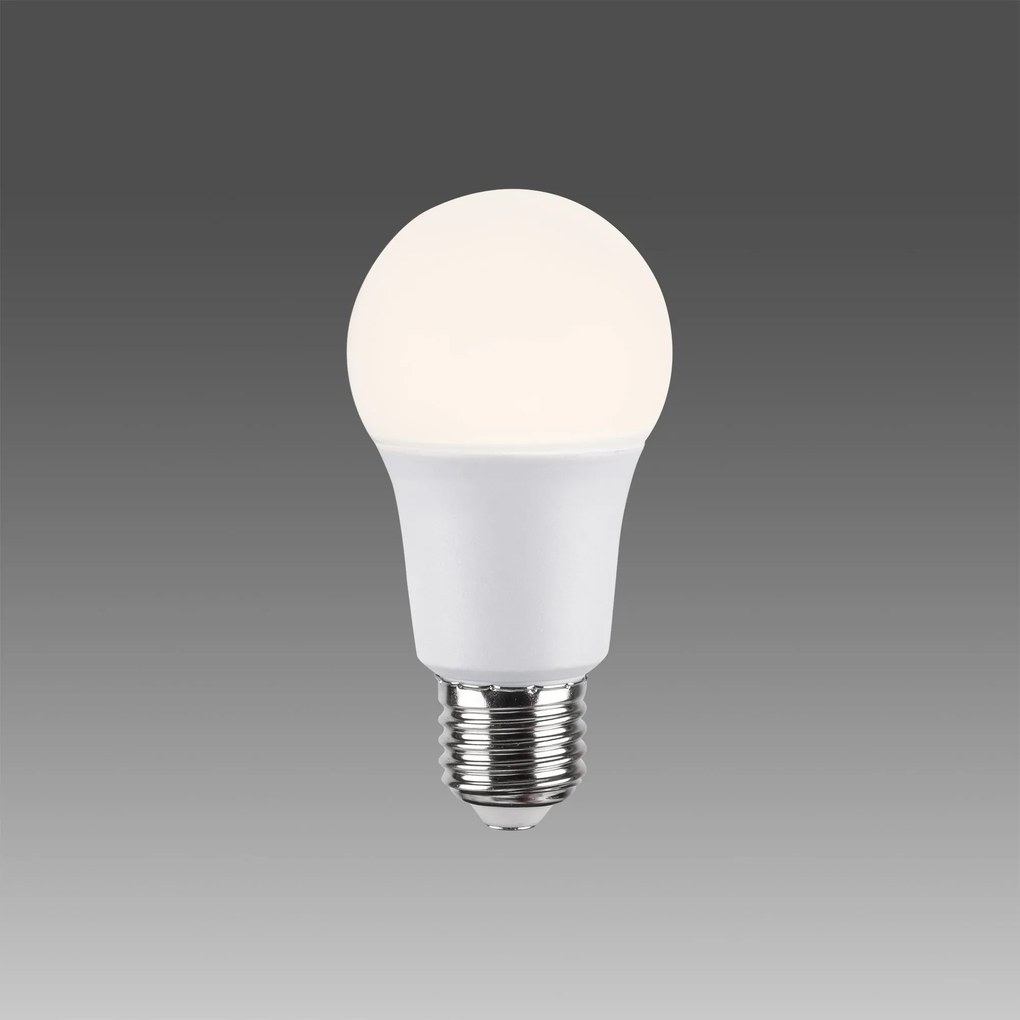 Bec cu Led OP - 008