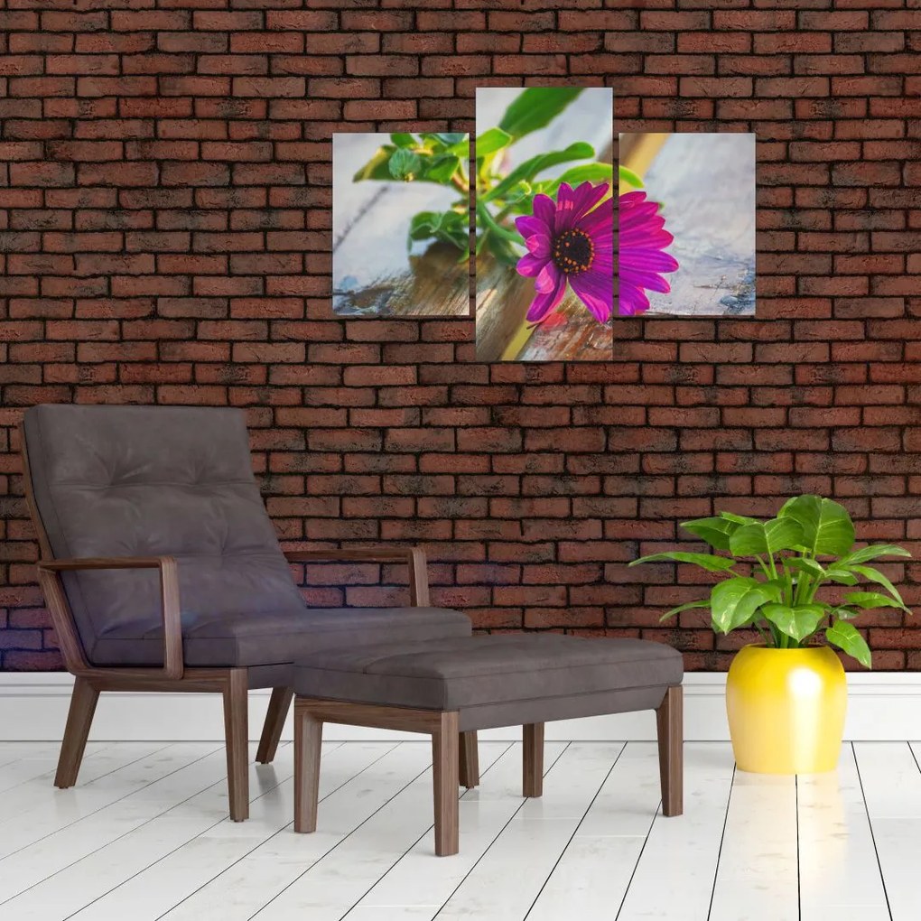 Tablou flori tăiate (90x60 cm)