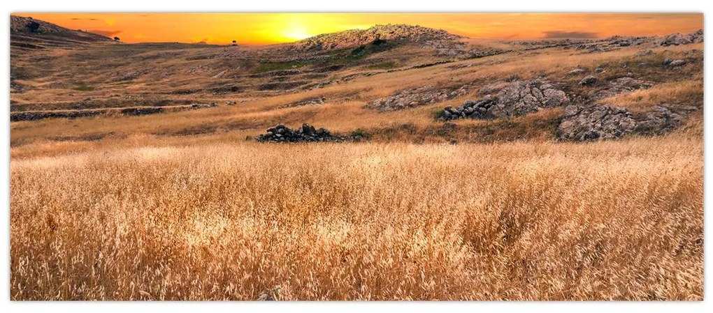 Tablou cu câmp (120x50 cm)