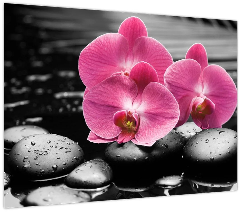 Tablou - Orhidee roz (70x50 cm)