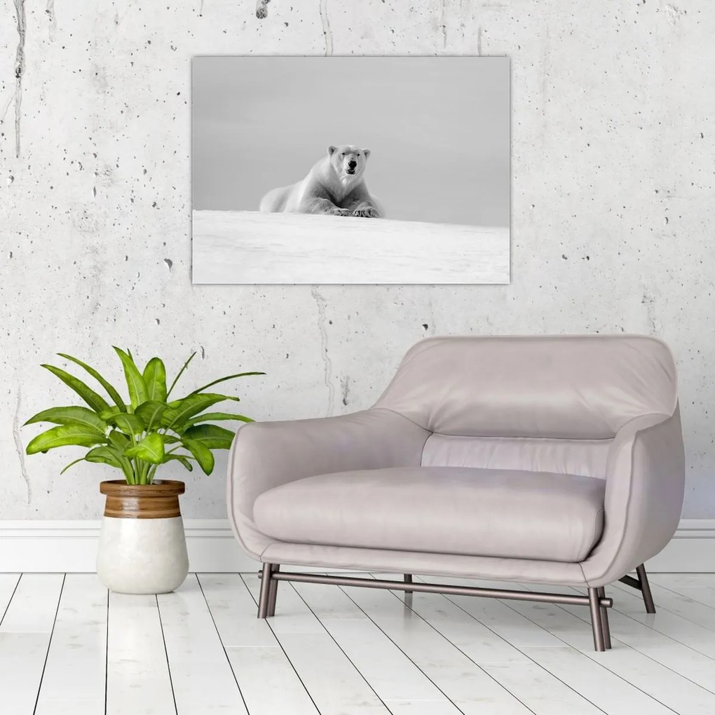 Tablou - Ursul polar (70x50 cm)