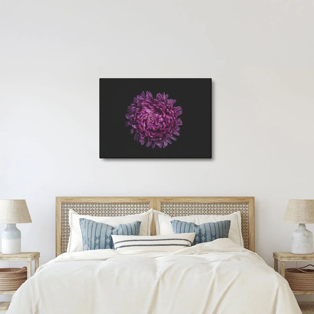 Tablou cu floare violetă (70x50 cm)