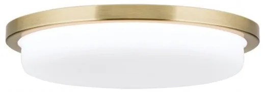 Plafoniera LED moderna LEROX 30cm alama antique