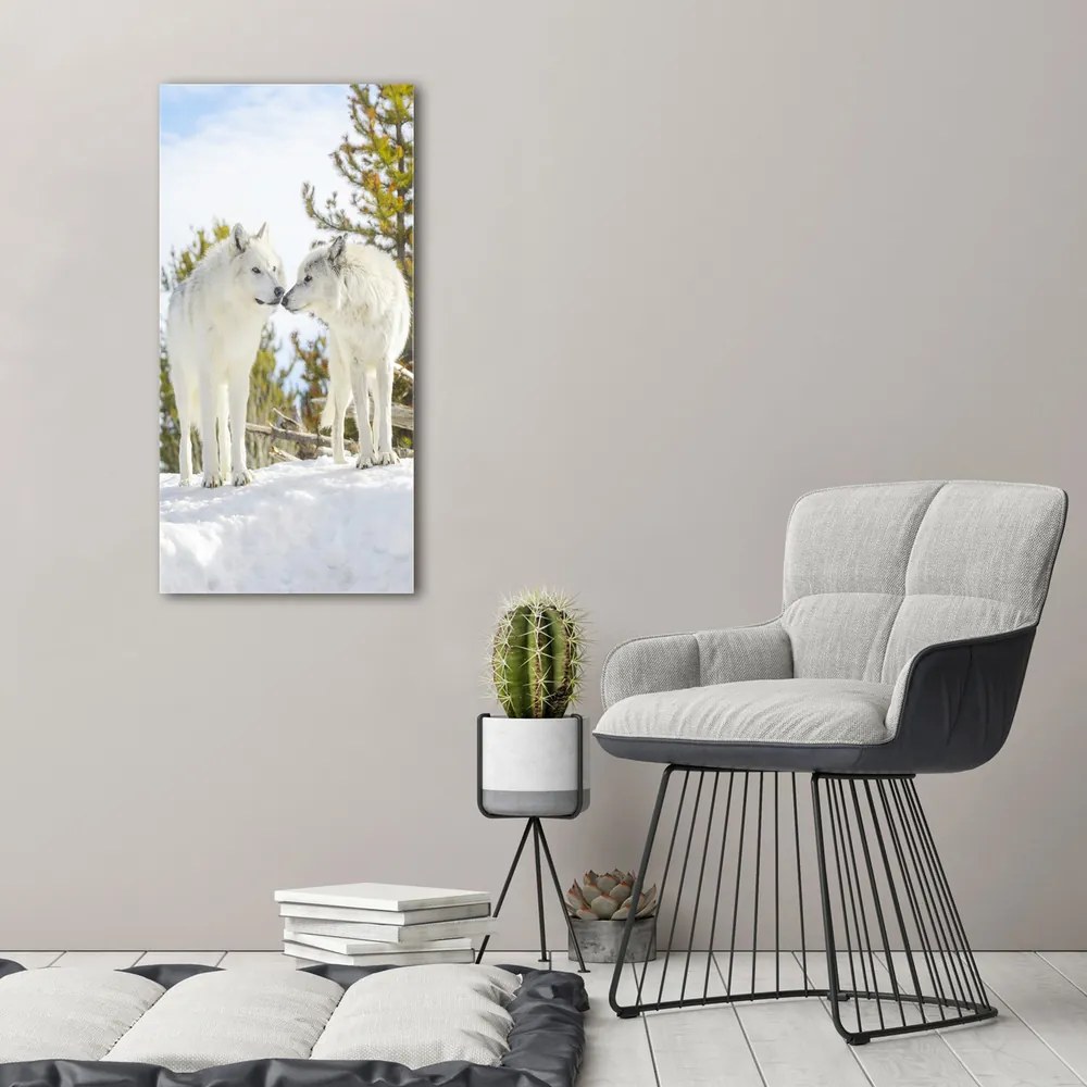 Imprimare tablou canvas Doi lupi albi