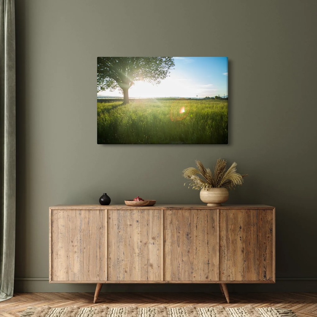Tablou - Copac în câmp (90x60 cm)