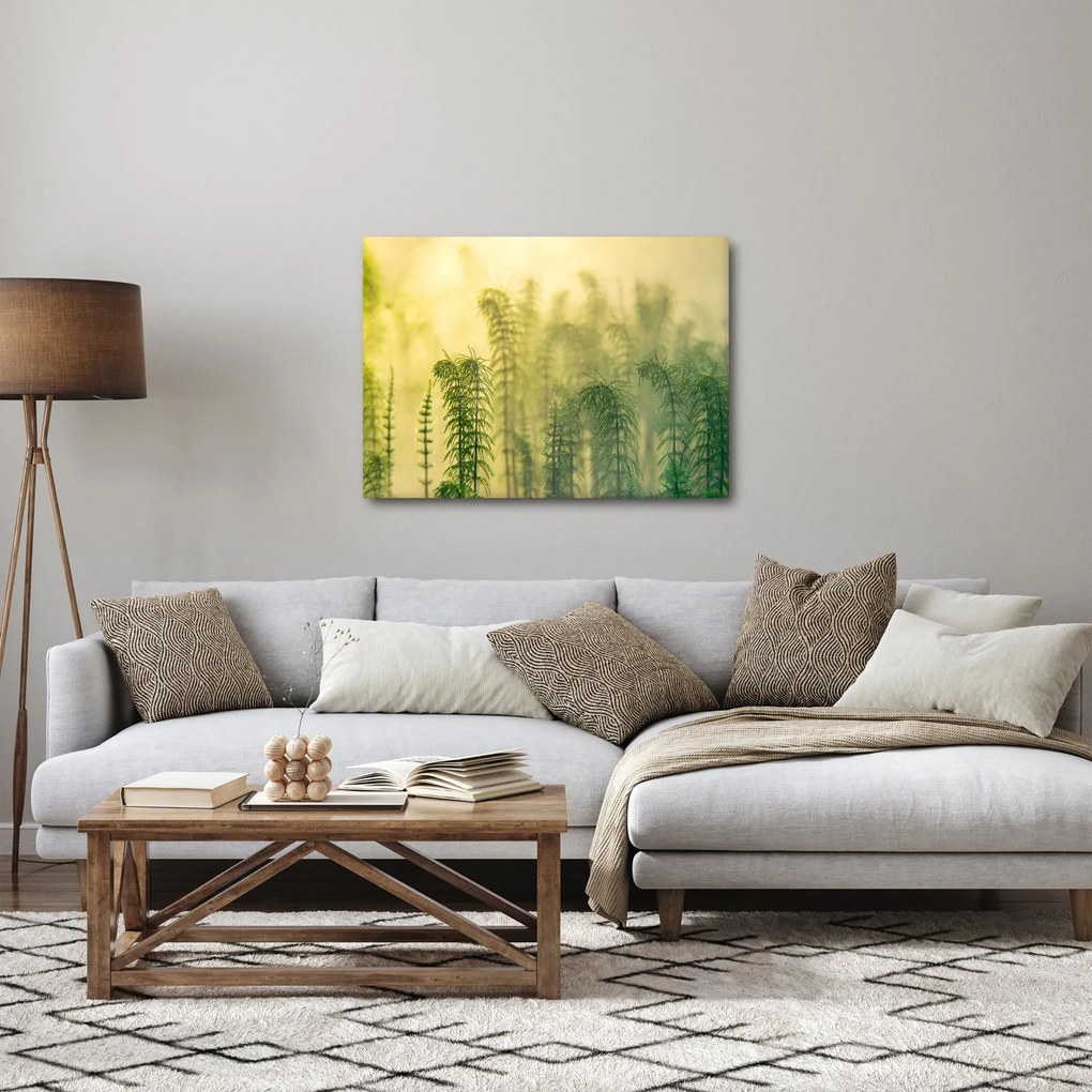 Tablou - Detaliu de primăvară natura cețoasă (70x50 cm)