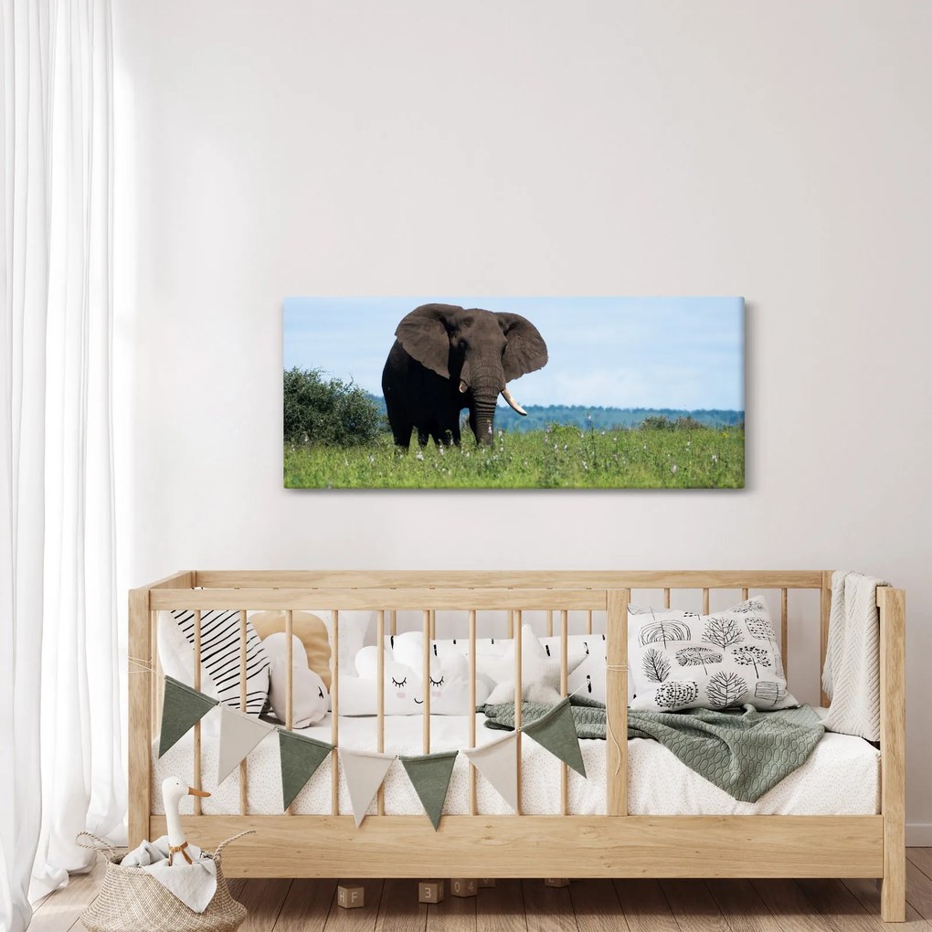 Tablou cu elefant (120x50 cm)