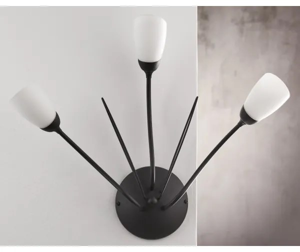 Jupiter 2059 - Aplică de perete GLORIOSA 3xG9/14W/230V, neagră