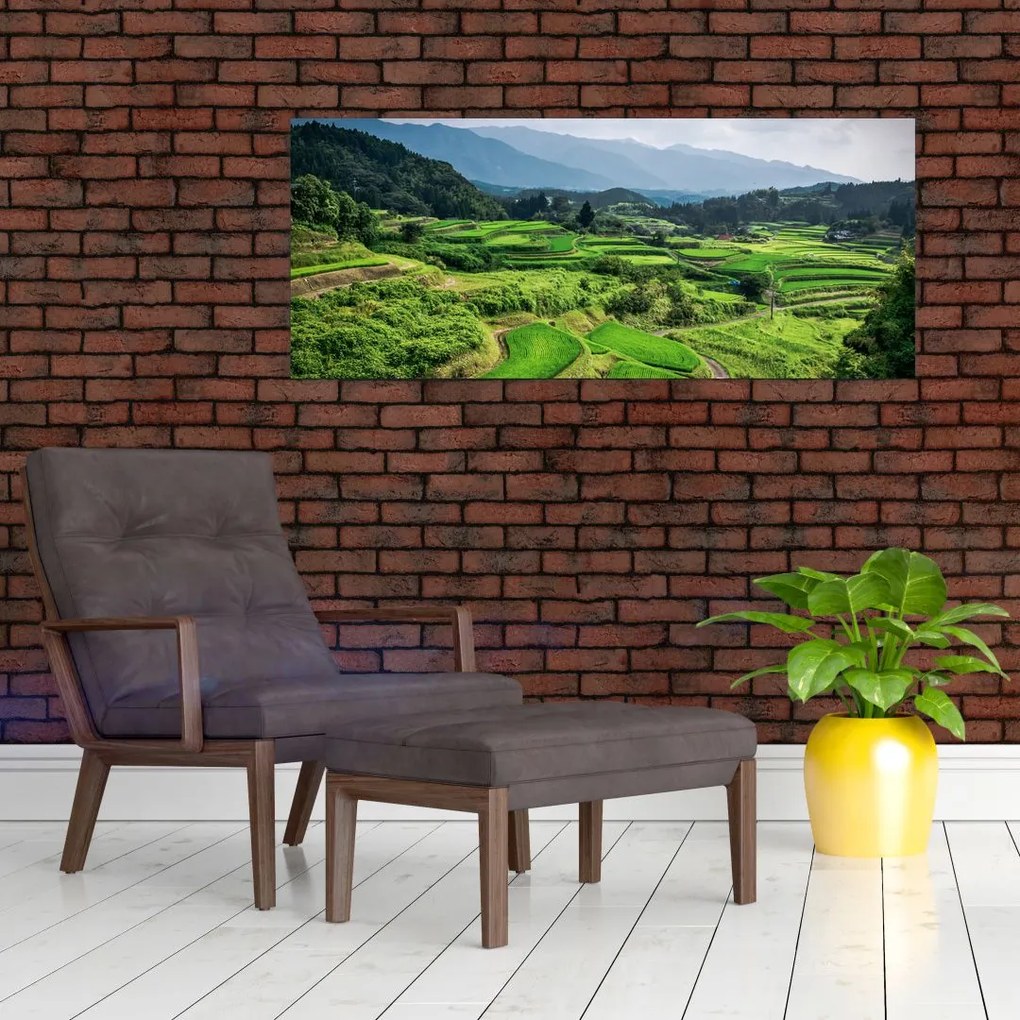 Tablou cu câmp de orez (120x50 cm)