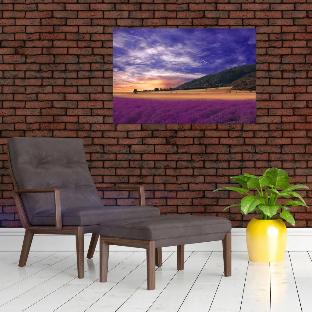 Tablou cu lunca cu lavandă (90x60 cm)