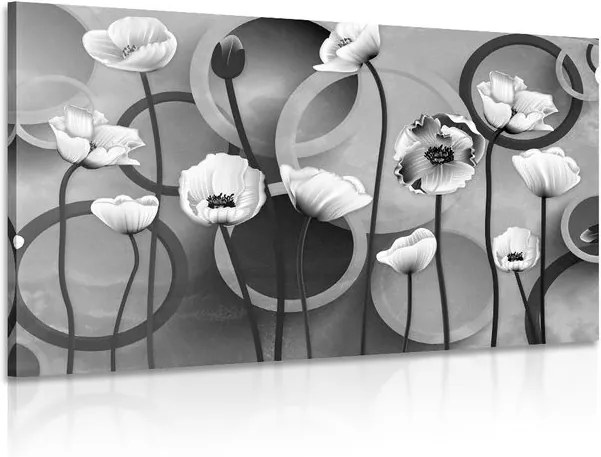 Tablou maci pe un fundal abstract în design alb-negru