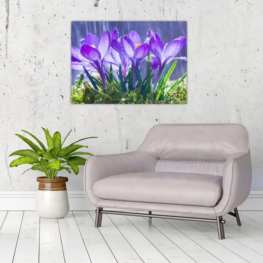 Tablou cuflori în ploaie (70x50 cm)