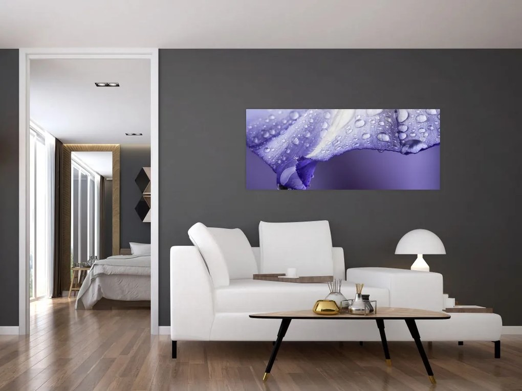 Tablou - Petală cu picături (120x50 cm)