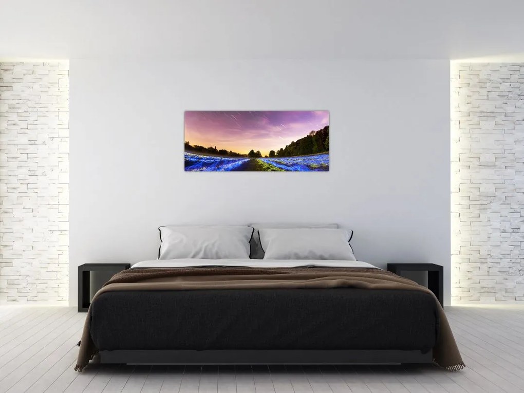 Tablou cu câmp colorat (120x50 cm)