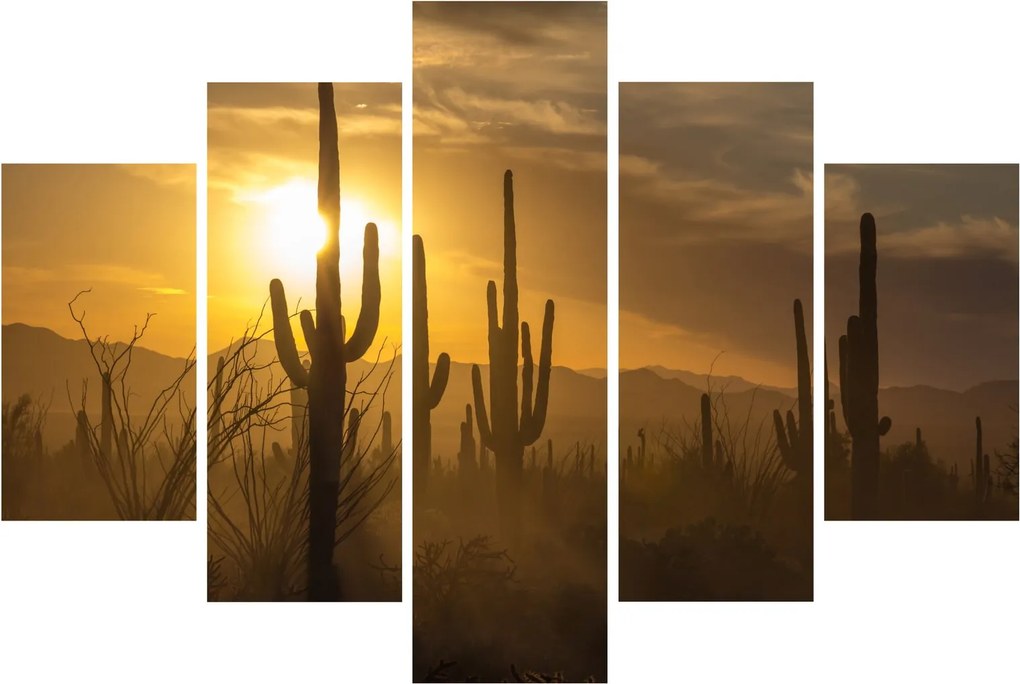 Tablou - Cactuși Saguaro (150x105 cm)