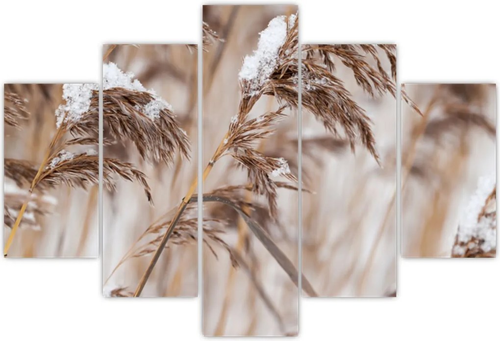 Tablou - Tei (150x105 cm)