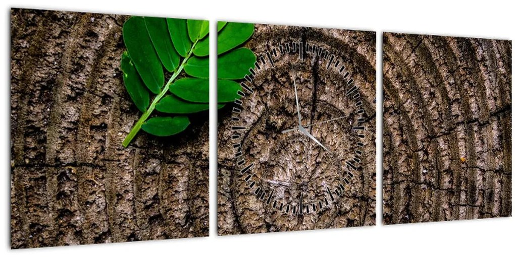 Tablou cu frunză pe trunchi de copac (cu ceas) (90x30 cm)