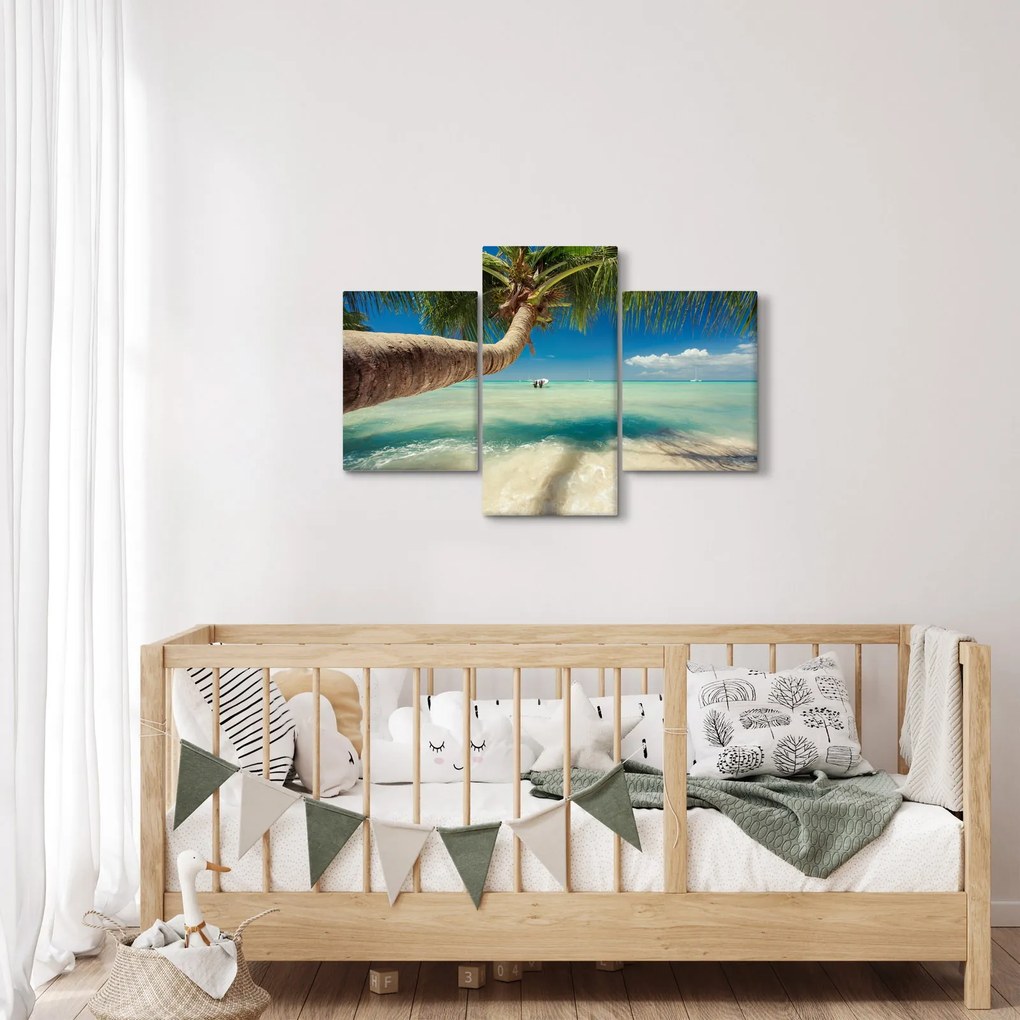 Tablou - Mare curată cu palmier (90x60 cm)
