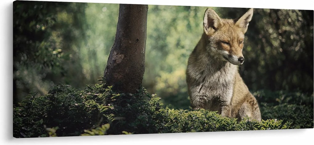 Tablou cu vulpe (120x50 cm)