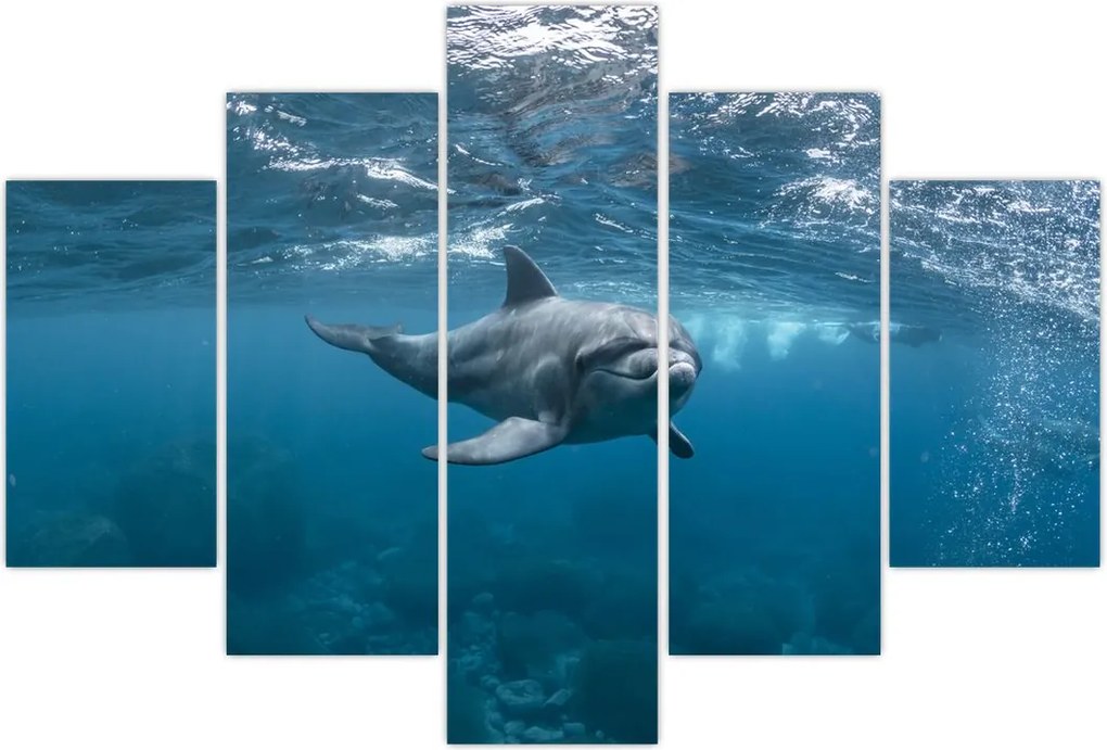 Tablou - Delfin sub apă (150x105 cm)