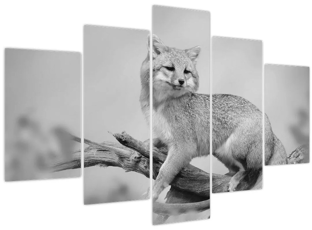 Tablou - Vulpe gri (150x105 cm)
