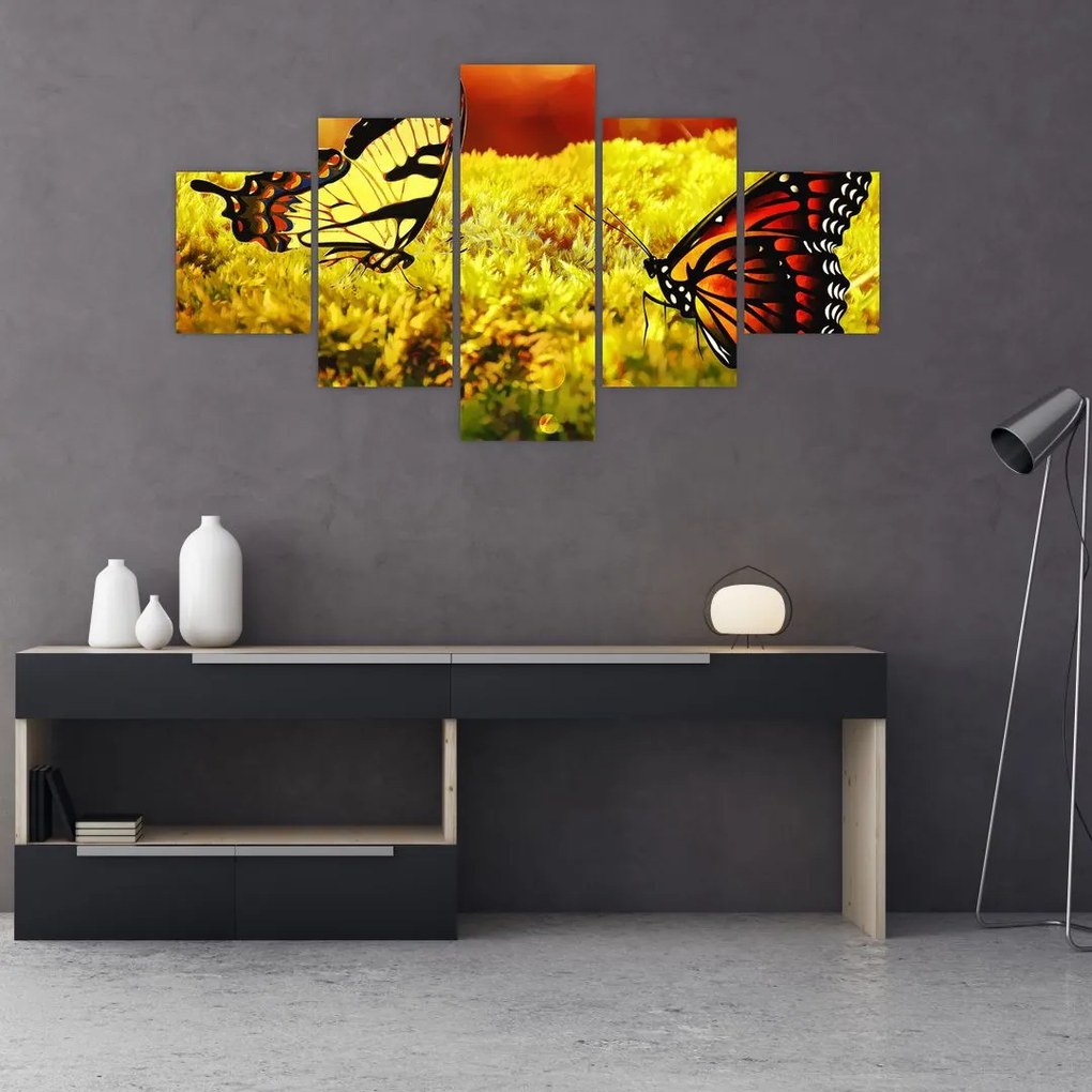 Tablou cu fluturi (125x70 cm), în 40 de alte dimensiuni noi