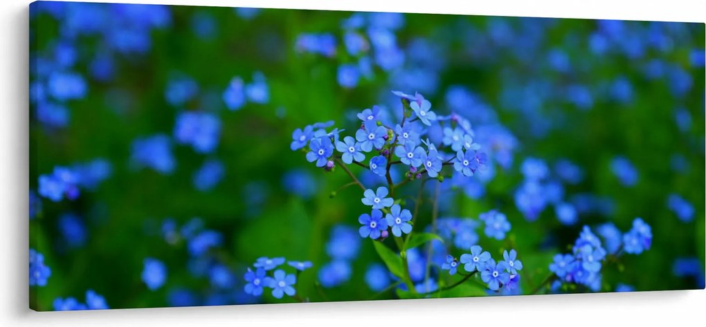 Tablou cu flori albastre (120x50 cm)
