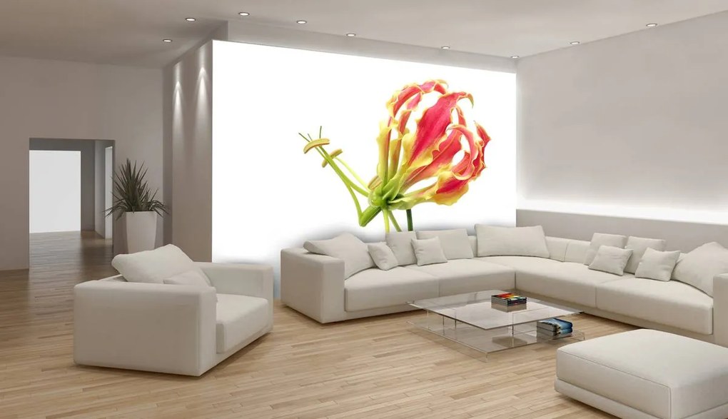Fototapet - Flori (254x184 cm)