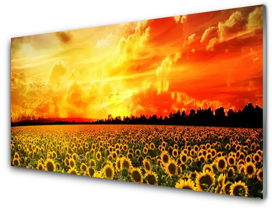 Tablouri acrilice Meadow Sunflowers Floral Verde Galben Maro