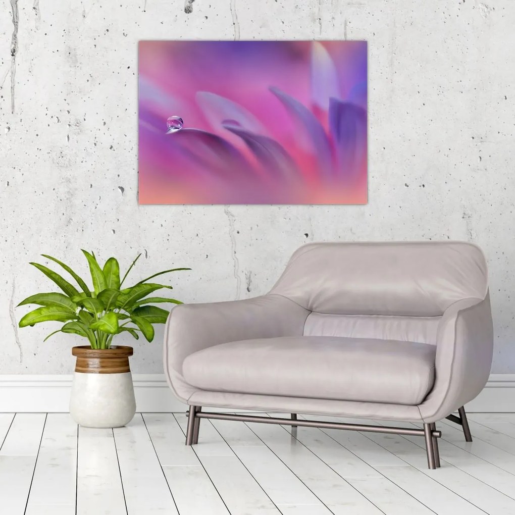 Tablou - Picătură pe floare (70x50 cm)