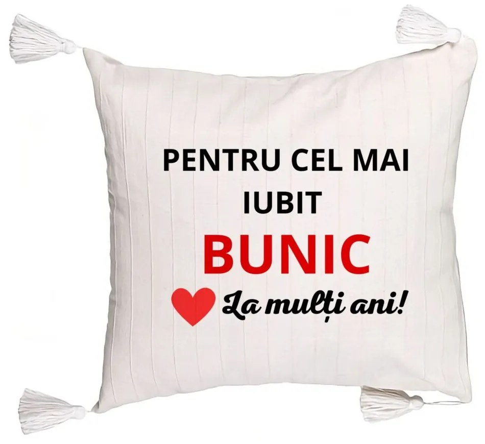 Perna Decorativa cu Franjuri pentru Bunicul 3, 45x45 cm, Cu fermoar