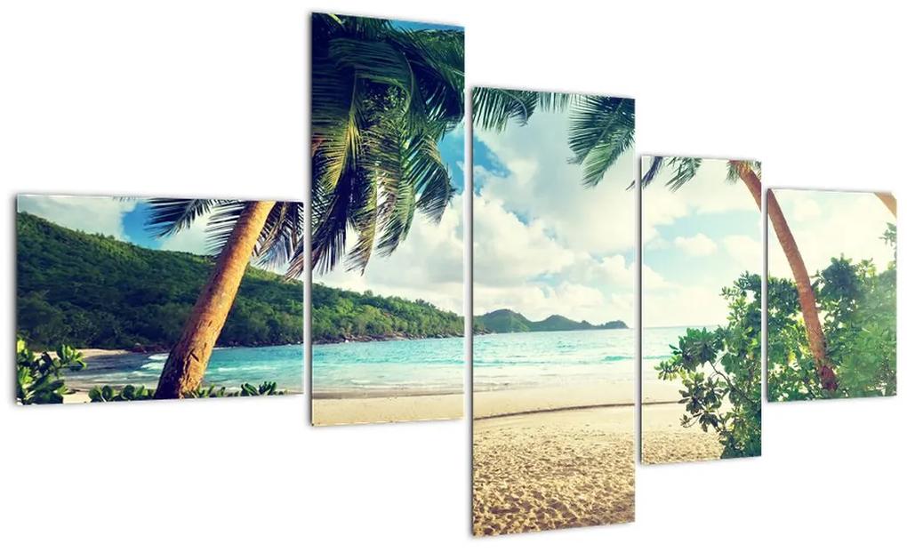 Tablou modern - palmieri pe plajă (150x85cm)