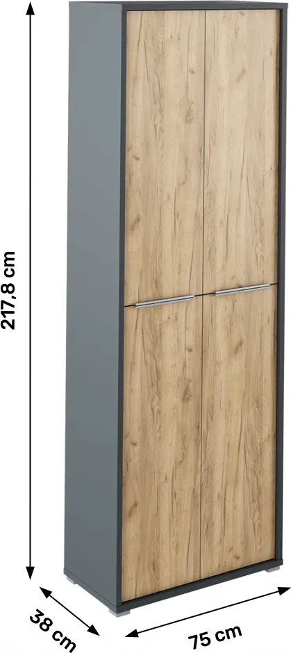 Dulap înalt cu poliţe, grafit / stejar artizanal, RIOMA NEW TYPE 05