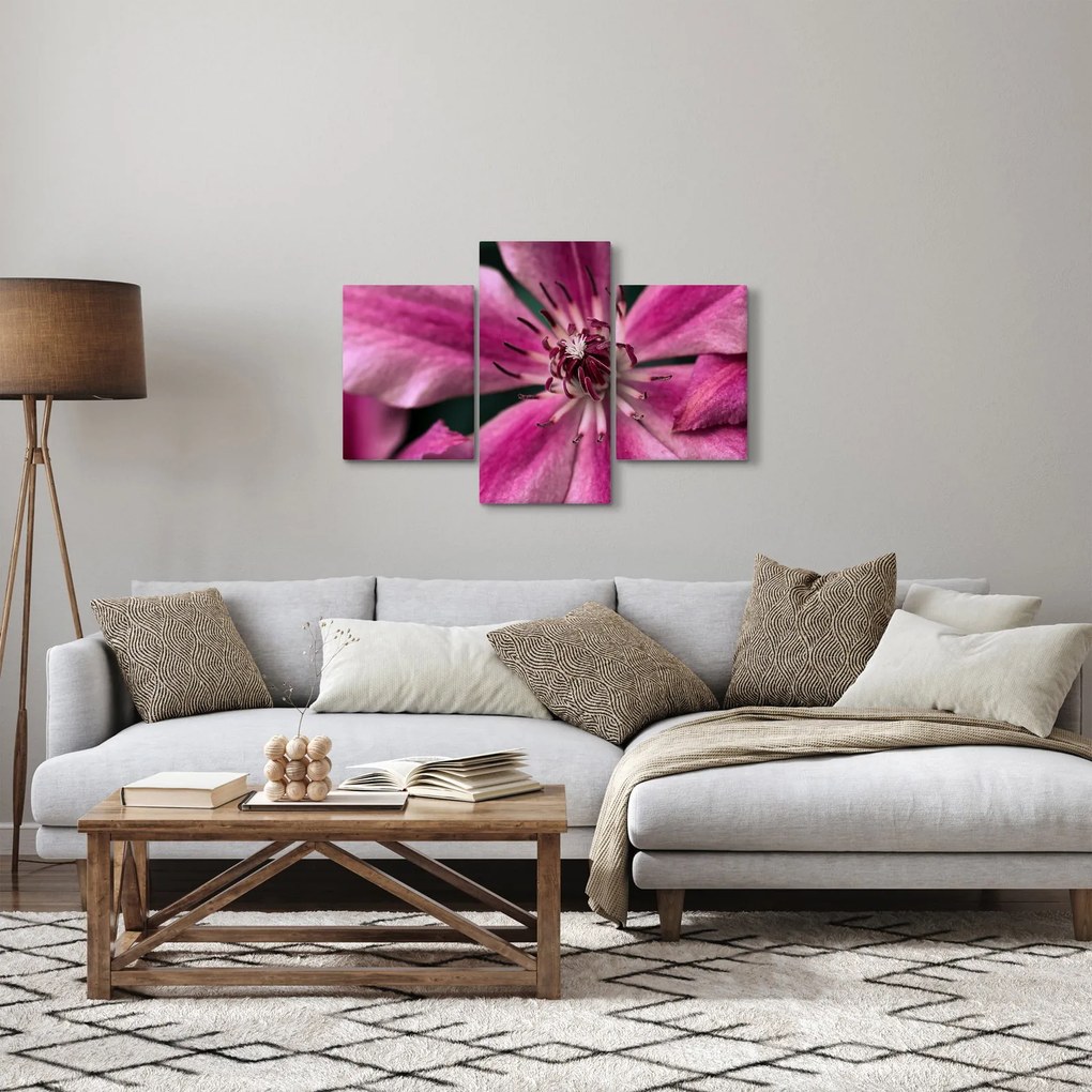 Tablou cu floarea roz de clematis (90x60 cm)